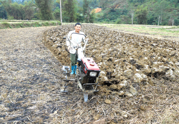 Nông dân chuẩn bị trồng cây thuốc lá vụ xuân năm 2015